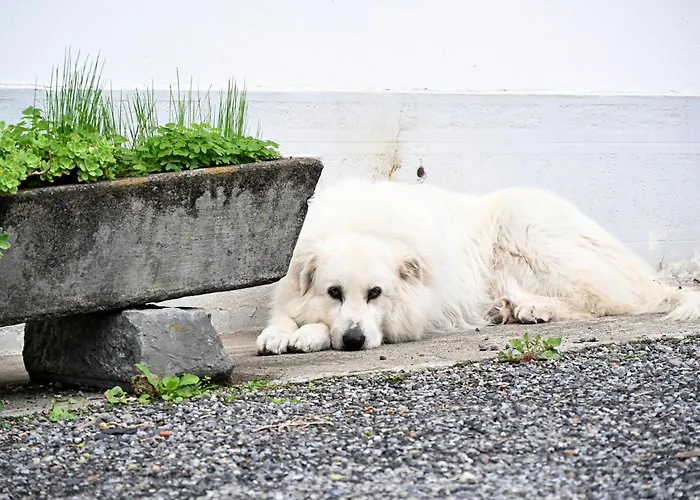 Casa vacanze Maison Lagrave